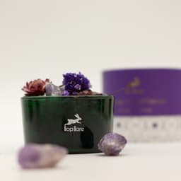 Hop Hare Diffusing Crystals & Floral Set - The Moon – image 2