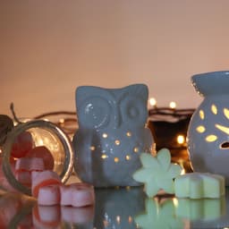 Classic White Oil Burner - Tall Owl – image 4
