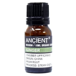 Ginger Organic Essential Oil 10ml – image 2