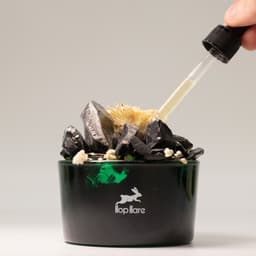 Hop Hare Diffusing Crystals & Floral Set - The King – image 3