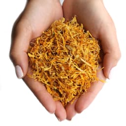 Marigold Petals (0.5kg) – image 4