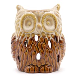Classic Rustic Oil Burner - Owl (assorted) – image 1
