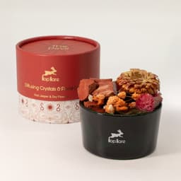 Hop Hare Diffusing Crystals & Floral Set - The Devil – image 5