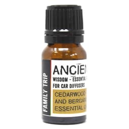 10ml Aromatherapy Car Blend - Family Trip – image 1