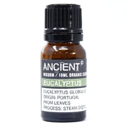 Eucalyptus Organic Essential Oil 10ml – image 1