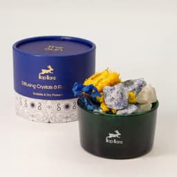 Hop Hare Diffusing Crystals & Floral Set - The Sun – image 8