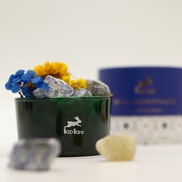 Hop Hare Diffusing Crystals & Floral Set - The Sun – image 5