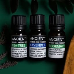 Set of Lavender, Tea Tree & Rosemary Essential Oils - 10ml Each – image 1