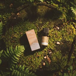 Agnes + Cat Essential Oil Blend - Cat Bells - Lime, Tangerine & Peppermint – image 3