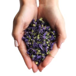 Mallow Flowers Whole Blue (0.5kg) – image 2