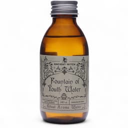 Ancient Witch Ritual Water - Fountain of Youth – image 2